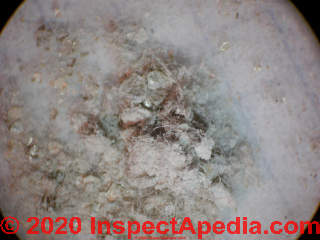 Spray on fireproofing insulation test sample from NYC (C) Daniel Friedman at InspectApedia.com