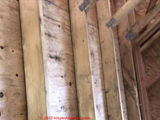 Moldy plywood in new construction (C) InspectApedia.com Kristin