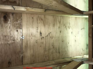 Moldy plywood in new construction (C) InspectApedia.com Kristin