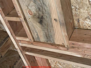 Moldy plywood in new construction (C) InspectApedia.com Kristin