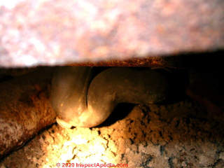 Shower drain trap not normally visible (C) Daniel Friedman at InspectApedia.com