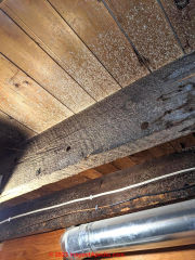 white spots on building framing (C) InspectApedia.com Rebecca