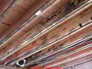 Photograph: typical cosmetic bluestain mold on new framing lumber, floor joists - © Daniel Friedman