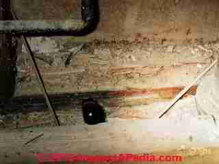 powder post beetle damage © Daniel Friedman at InspectApedia.com